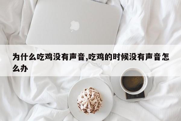 为什么吃鸡没有声音,吃鸡的时候没有声音怎么办