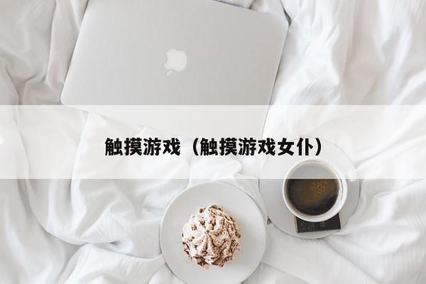 触摸游戏(触摸游戏女仆)