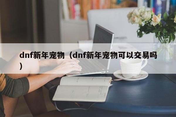dnf新年宠物（dnf新年宠物可以交易吗）