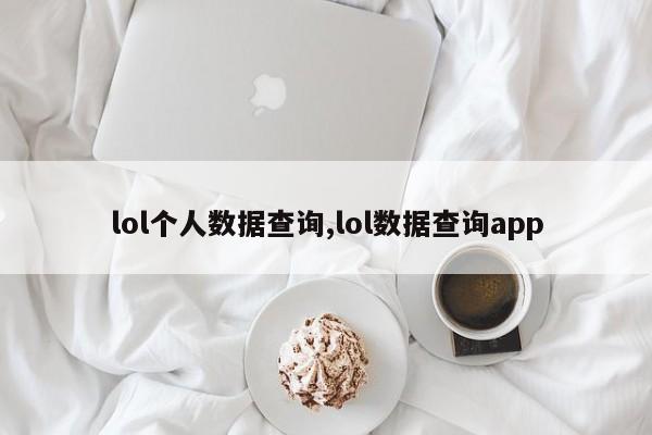 lol个人数据查询,lol数据查询app