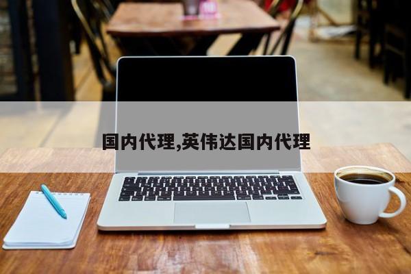 国内代理,英伟达国内代理