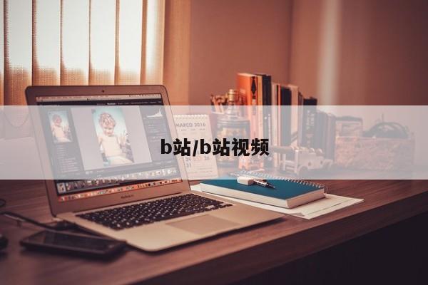 b站/b站视频