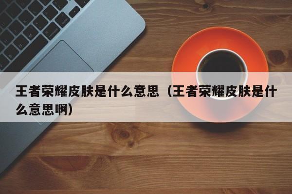 王者荣耀皮肤是什么意思（王者荣耀皮肤是什么意思啊）