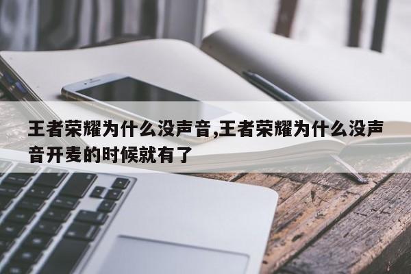 王者荣耀为什么没声音,王者荣耀为什么没声音开麦的时候就有了